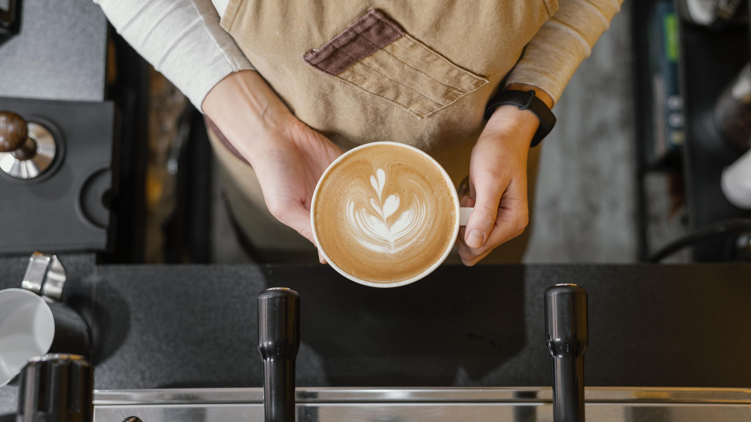 Cup of cappuccino in baristas hands